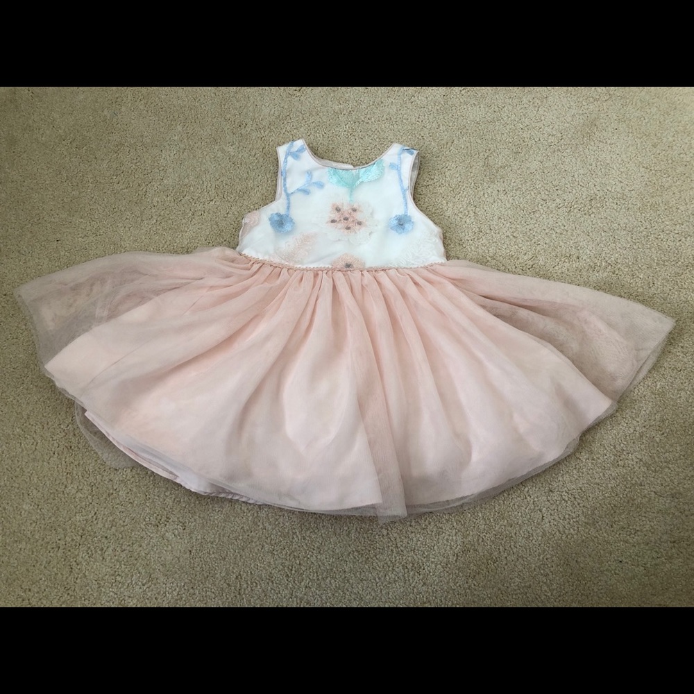 Pippa & Julie Floral Embroidered Tutu Dress